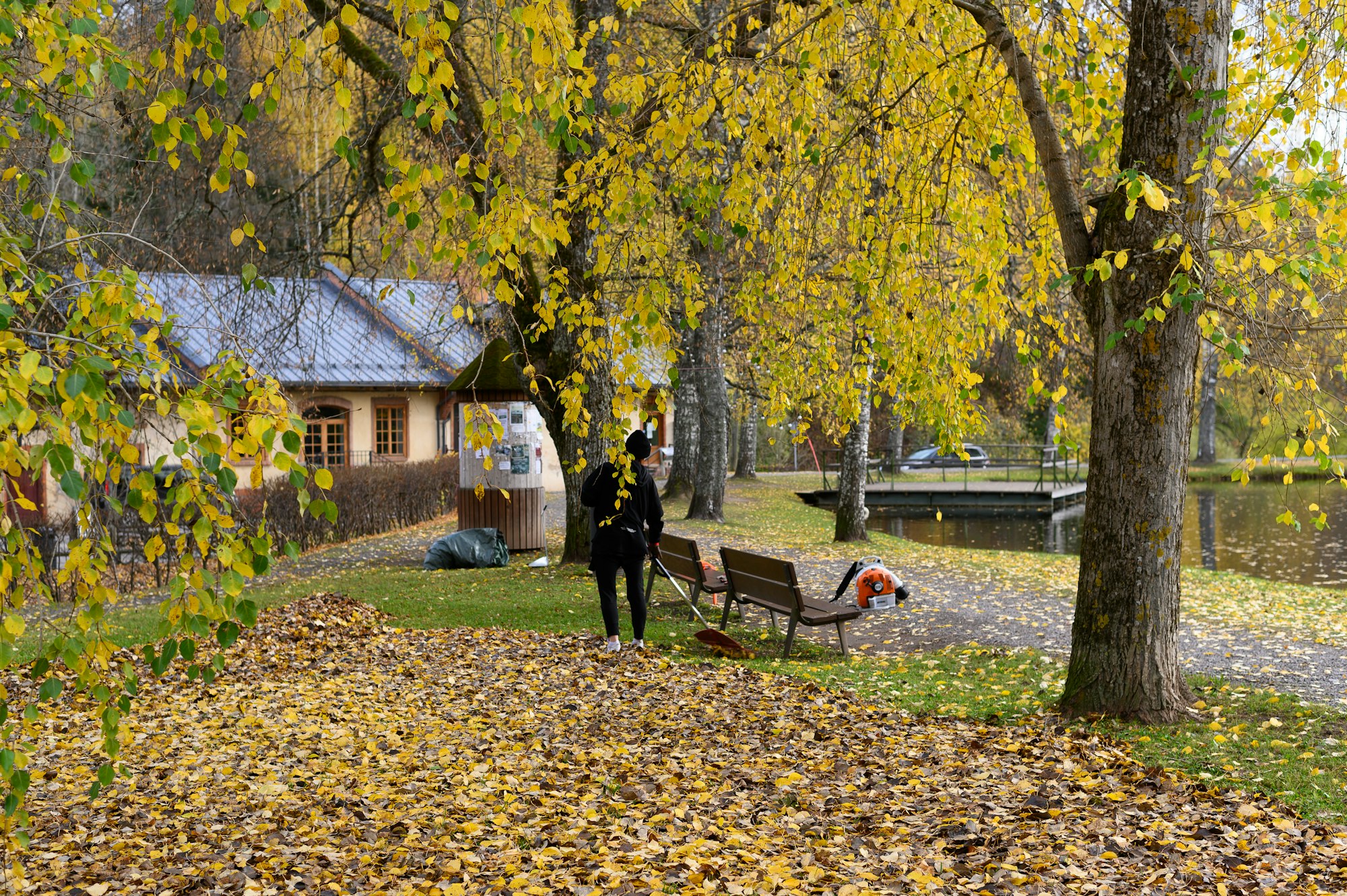 Autumn leaves collection. Worker collecting fallen leaves in park