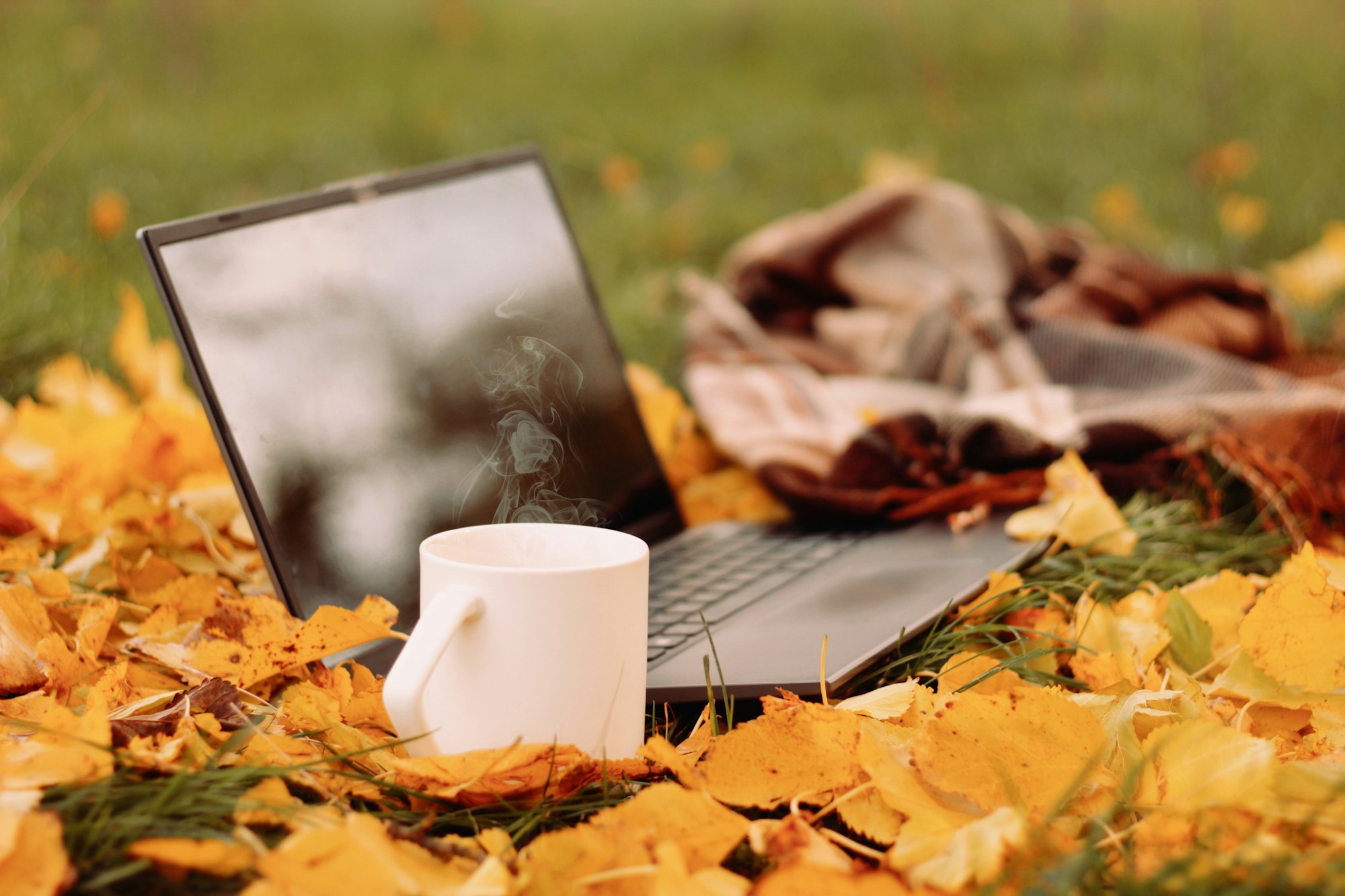 Laptop with cup of tea or coffee in the autumn garden. Template for ads, design, advertising