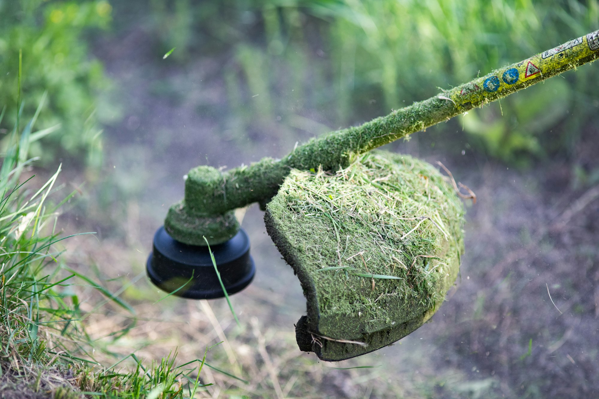 mowing the grass with a lawn mower, garden work concept background