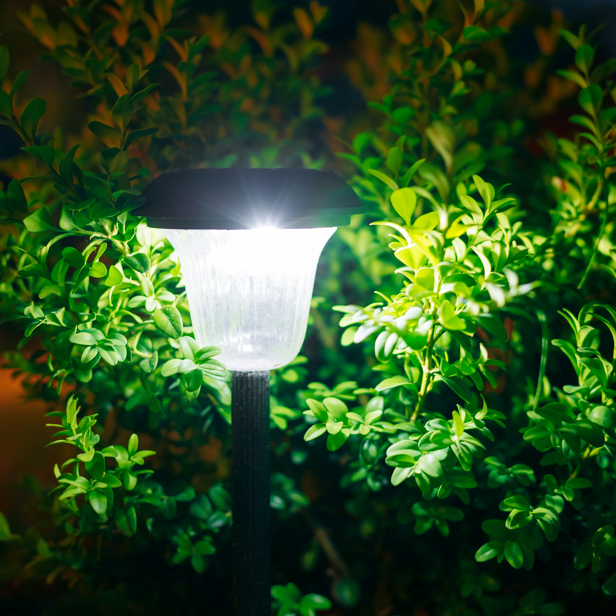 Small Solar Garden Light, Lantern In Flower Bed. Garden Design.